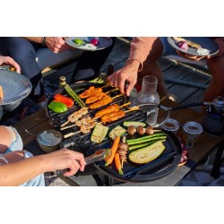 BARBECUE A GAZ NOMADIQ