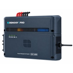 Centrale d'énergie 4 en 1 Nexus 12V 60 A PRO - RENOGY