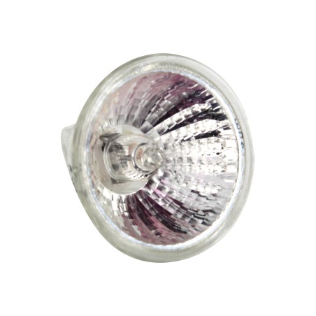 HALOGENE G4 50 W - 12V
