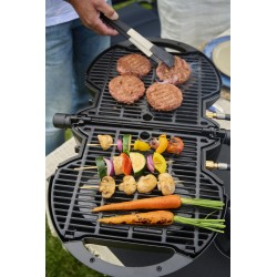 BARBECUE A GAZ NOMADIQ