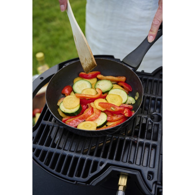 BARBECUE A GAZ NOMADIQ