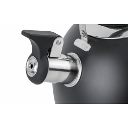 BOUILLOIRE SIFFLANTE DAYO BLACK NG 1,8 L BRUNNER