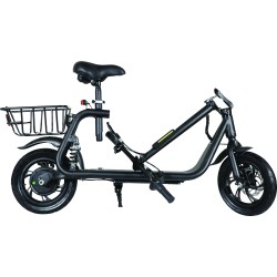 TROTTINETTE SIEGE 500W 10Ah NOIR