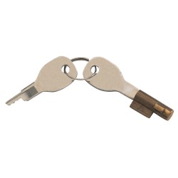 ANTIVOL À BARILLET AK7 AK10/2 AK251 AK252 ALKO