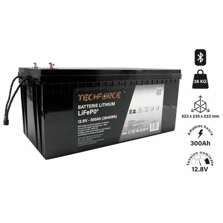 BATTERIE LITHIUM LIFEPO4 - 300