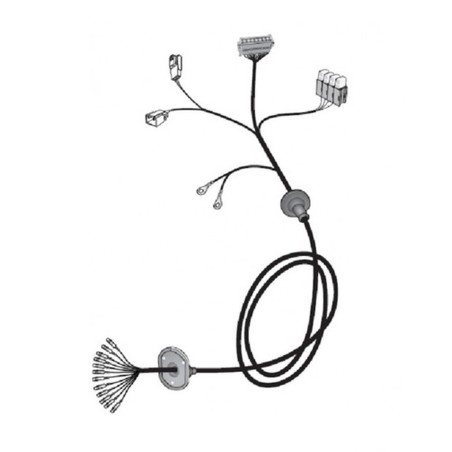 FAISCEAU POUR FORD TRANSIT...