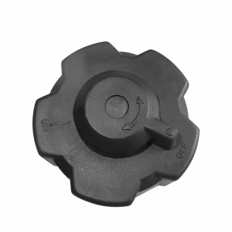 BOUCHON D'ESSENCE POUR...