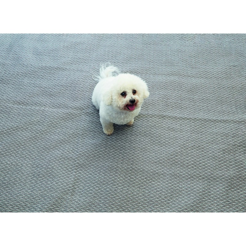 TAPIS FLINT 2,5 x 3,0 M ISABELLA