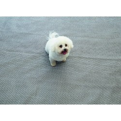 TAPIS FLINT 2,5 x 3,0 M ISABELLA