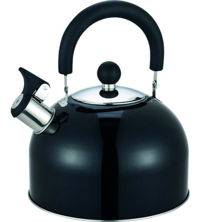 BOUILLOIRE ACIER INOX 2,5L