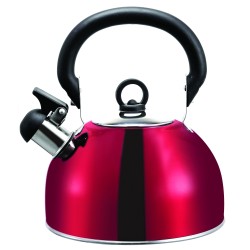 BOUILLOIRE ACIER INOX 2,5L