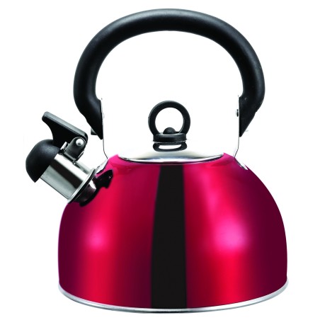 BOUILLOIRE ACIER INOX 2,5L