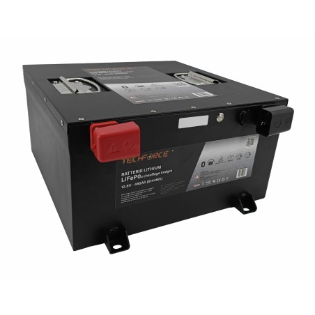 BATTERIE LITHIUM LIFEPO4 - 480