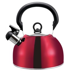 BOUILLOIRE ACIER INOX 2,5L