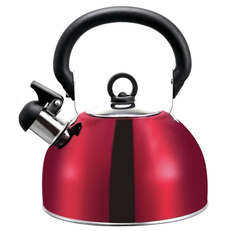 BOUILLOIRE ACIER INOX 2,5L
