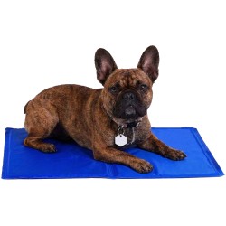 TAPIS RAFRAICHISSANT 40 x 50 CM POUR ANIMAUX