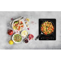 PLAQUE A INDUCTION VITRO 300 - 2000W HOT POINT BRUNNER