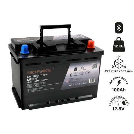 BATTERIE LITHIUM LIFEPO4 - 100