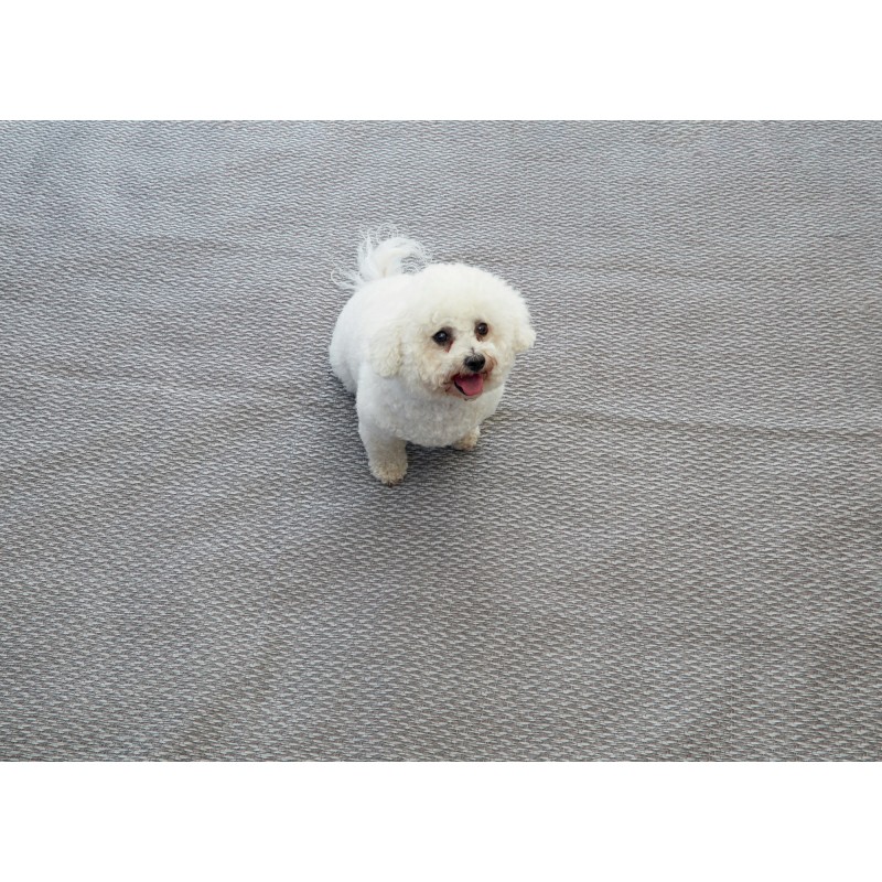 TAPIS FLINT 2,5 x 3,0 M ISABELLA