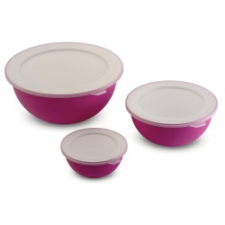 SET 3 SALADIERS SANALIVING AVEC COUVERCLES