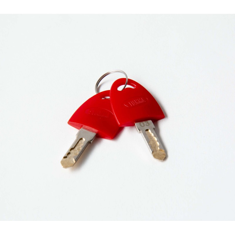SERRURE FIAMMA SAFE DOOR X3