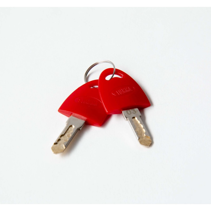 SERRURE FIAMMA SAFE DOOR