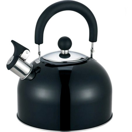 BOUILLOIRE ACIER INOX 2,5L