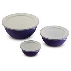 SET 3 SALADIERS SANALIVING AVEC COUVERCLES