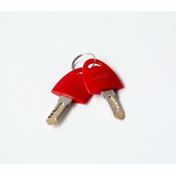 SERRURE FIAMMA SAFE DOOR X3