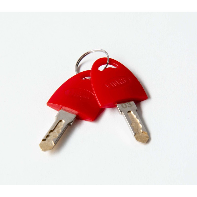 SERRURE FIAMMA SAFE DOOR X3
