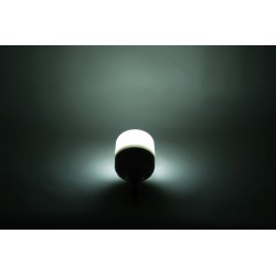 LAMPE LED RECHARGEABLE A SUSPENDRE GLOBE - BRUNNER