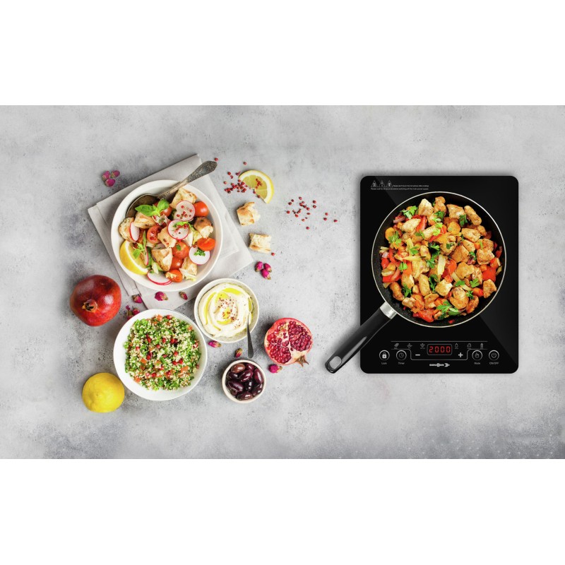 PLAQUE A INDUCTION VITRO 300 - 2000W HOT POINT BRUNNER